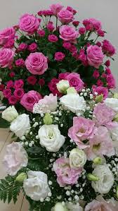 Check spelling or type a new query. Feeling Blessed Roses For You My Love Rose Flower Pictures Beautiful Rose Flowers Beautiful Flowers Pictures