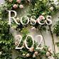 Roses 201 at Cook’s Farm & Greenhouse