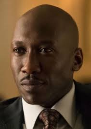 Remy Danton Fan Casting