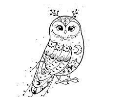 Perched barn owl coloring page. Winter Barn Owl Coloring Page Coloringcrew Com