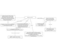 Ersilia zamponi, quaderno di lessico. Orientamento Geografico La Scuola Di Zio Gustavo