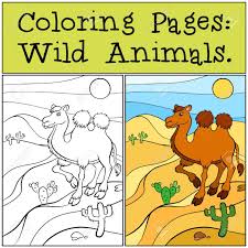There are tons of great resources for free printable color pages online. Coloring Pages Wild Animals Cute Camel Stands On The Sand In The Desert And Smiles Royalty Free Cliparts Vectors And Stock Illustration Image 56471793