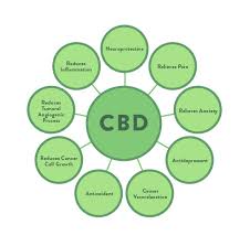 The Complete Guide To Cbd Benefits Guidelines Sources