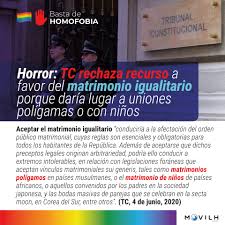 Vía recurso de inconstitucionalidad, cuestión de inconstitucionalidad o recursos de amparo. Homofobia Tc Rechaza Recurso A Favor Del Matrimonio Igualitario Porque Daria Lugar A Uniones Poligamas O Con Ninos Movilh Chile