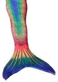 Rainbow mermaid tail for swimming. Mermaid Tails Mermaid Tail Mermaid Tails For Kids The Mermaid Academythe Mermaid Academy