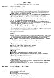Service Assistant Resume Samples Velvet Jobs