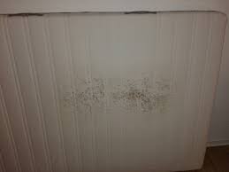 Insbesondere bei menschen mit atemwegserkrankungen bewirkt ein. Gibt Es Unsichtbaren Schimmel Gesundheit