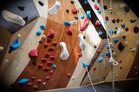 This article will teach you all you need to know if you too would like to. Vertical Solutions Home School And Corporate Climbing Wall Popularity Increasing With National Commercial Gym Growth