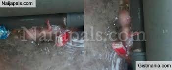 University of lagos, unilag hostel accommodation balloting notice this is to inform all returning undergraduate students of the university of lagos (unilag) that balloting for bed spaces will. Aborted 5 Month Old Baby Foetus Found In Female Hostel At University Of Lagos Photo Gistmania