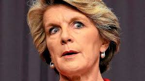 Beijing: Foreign Affairs Minister Julie Bishop has held firm in the face of an unconventionally strong protest from Beijing over the federal government&#39;s ... - _20131207174019931992-620x349