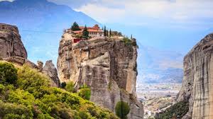 Image result for Grevea