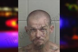 Kelby Green: https://thegeorgiagazette.com/wayne/kelby-green/