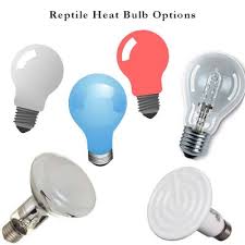 Reptile Heat Bulbs Overview Box Turtle World