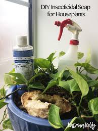 Then fill the bottle with water. Diy Insecticidal Soap For Houseplants Eartheim Landscape Design Lexington Kentucky
