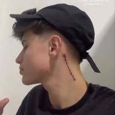 Luiz Fernando Pedroso (luizfernandopedroso795) — Perfil