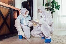 What Are The 3 Methods Of Pest Control | AMS Pest Control