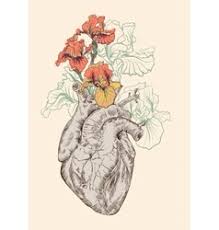 Designed to be printed on anatomical heart with flowers. Anatomical Heart Flowers Human Drawing Flower Vector Images 93