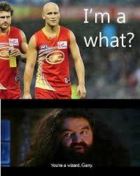 Afl Memes Sports Memes Footy Humour League Memes