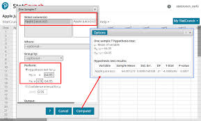 Hypothesis Tests And Confidence Intervals For A Mean With Raw Data