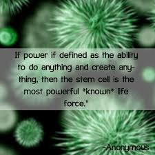 These stem cells come from embryos in the early stages of development. Top 8 Stem Cell Quotes Of All Time Stem Cells Stem Cell Research Cell