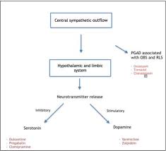 I went to my family doctor, who refused to believe that the ssri caused this and was mean and very dismissive. Persistent Genital Arousal Disorder It S Etiology Treatment Guideline And Management Strategy Semantic Scholar