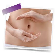 Image result for Umbilicus