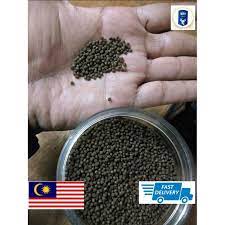 Adapun lima tahapan budidaya udang air tawar yang bisa anda lakukan diantaranya adalah Sinking Pallet 43 Protein Makanan Udang Kara Lobster Air Tawar Shopee Malaysia