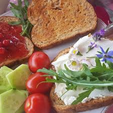 Pin Von Smaragdsafir Grun Auf Wildkrauter Mein Garten Meine Katze Malteser Babys Mini Malteser Lilly Tiere Basteln Mini Malteser Malteser Tiere Basteln