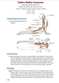 Pin On Big Butt Workout Larger Lower Body Fitness