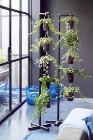 The way art is our indispensable guide to hanging art at home. 25 Best Hanging Plants Ideas To Make Your Home Perfect Interiorsherpa