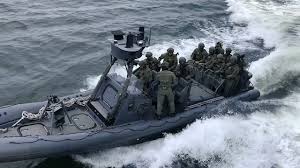 The special intervention unit) is the police tactical unit of the danish national police. Politiets Aktionsstyrke Pa Orofaergen Youtube