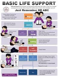 Bls Algorithm Basic Life Support Emergency Nursing Emt Basic