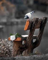 اغنية ياحمامة دوحmb3 / ø§øºù†ùšø© ùšø§øù…ø§ù…ø© ø. ÙŠØ§Ø­Ù…Ø§Ù…Ø© Ø·ÙŠØ±ÙŠ