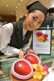 Miyazaki is the king of mangoes, world wide! A Pair Of Premium Mangoes Grown In Southern Japan Has Sold For A Record Of 400 000 Yen Approximately 3 730 Us Dollars At A Wholesale Mar Mangoes Tamago Japan