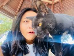 Sundus Sonia Musafir Larka faster jee