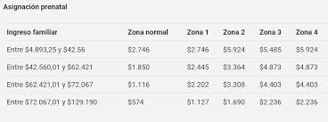 Check spelling or type a new query. Anses Cuando Cobro Liquidacion Suaf Jubilacion Pension Y Otras Asignaciones