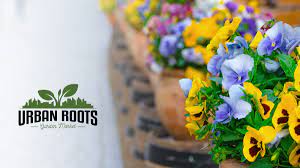 Urban roots, formerly community design center of minnesota, was incorporated in 1969. Pop Up Garden Centers Urban Roots Garden Market