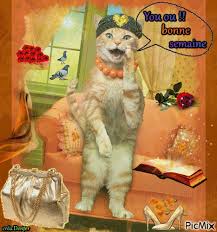 Résultat de recherche d'images pour "gifs bonne semaine humour"