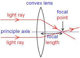 Gcse Physics What Are Ray Diagrams What Is The Focal Length Gcse Physics Physics Physics Projects