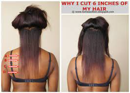 We did not find results for: 25 Awesome 6 Inch Haircut