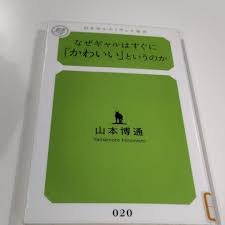 再入荷！】 なぜギャルはすぐに「かわいい」というのか 人文/社会 - queertt.com