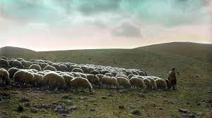 Jesus Christ, The Good to Great Shepherd | Preaching Source