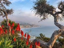 Maybe you would like to learn more about one of these? Laguna Beach Stock Photo Cd14a159 Bdcb 48d2 8d93 Df2d68596167