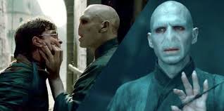 Win house points for betting on characters! New Harry Potter Fan Theory About Voldemort Has Left Fans Shaken To The Core