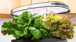 5.0 out of 5 stars. Best Aerogarden 2020 Reviews