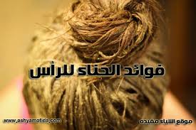فوائد الحناء للرأس Hair Styles Beauty Dreadlocks