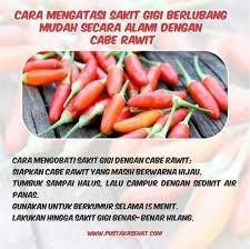 Pin Oleh Ragilia Kristiyani Di Herbal Life Resep Sehat Obat Alami Makanan