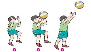Dalam permainan bola basket, terdapat beberapa teknik dasar yang harus dikuasai oleh setiap pemain, salah satunya adalah teknik dribbling atau menggiring bola. Bab 1 Permainan Bola Besar Kelas 6