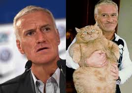 He played as a defensive midfielder for such clubs as chelsea, juventus and marseille. Anniversaire De Didier Deschamps 50 Ans Mais Pas Que De Chatte A Dd Diaporama
