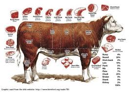 how to choose beef a primer on beef gourmet food world